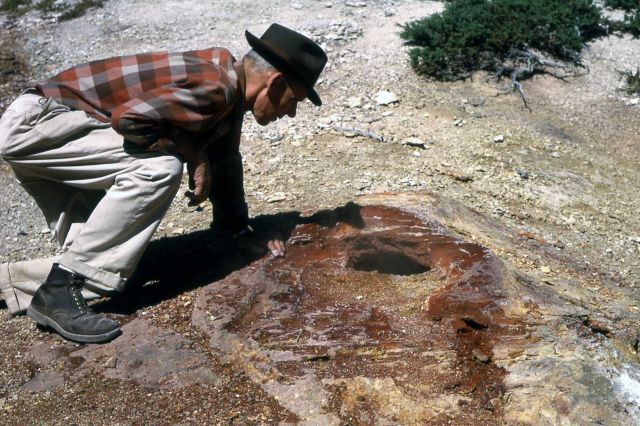 Small steam vent at Ochre Springs Picture