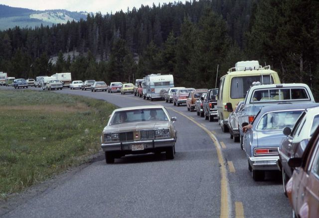 Traffic in bear jam Picture