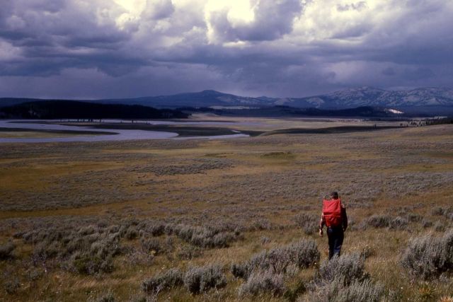 Howard Eaton trail in Hayden Valley Picture