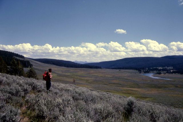 Howard Eaton trail in Hayden Valley Picture