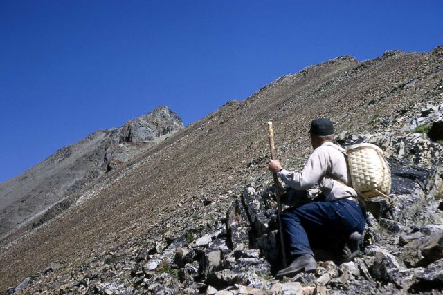 Ascent of Electric Peak Picture