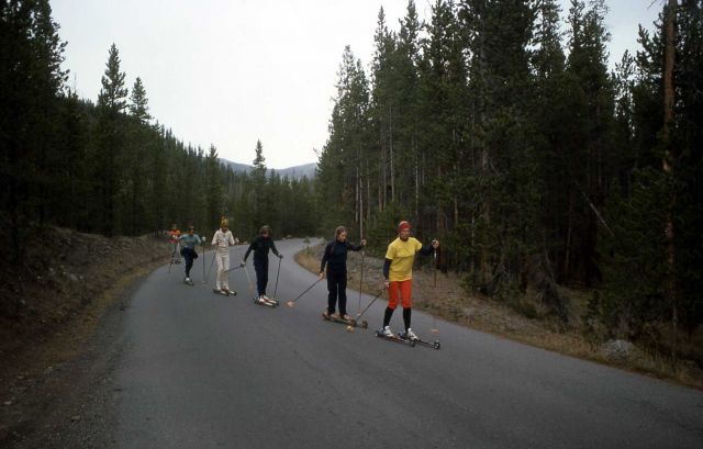 Roller skiers Picture
