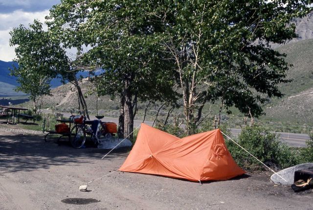 Campsite at Mammoth Hot Springs campground Picture