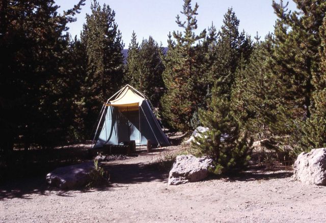 Tent set up in site at Fishing Bridge campground Picture