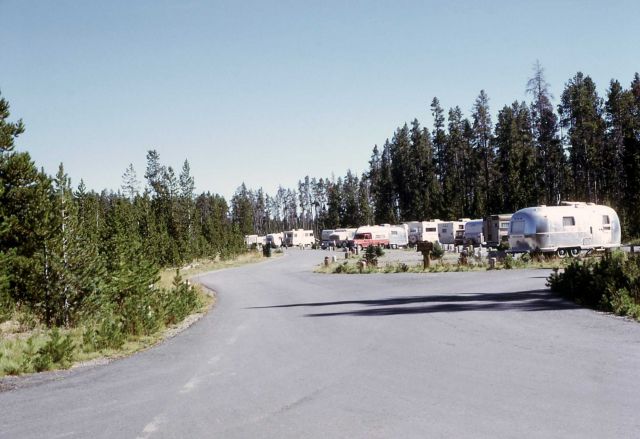 Campers at Fishing Bridge RV Park Picture