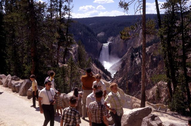 Visitors viewing Lower Falls from Artist Point Picture