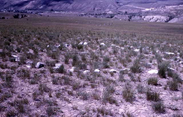 Teepee ring, rifle range - History - Indians Picture
