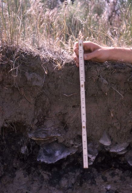 Hearth site depth - History - Indians Picture