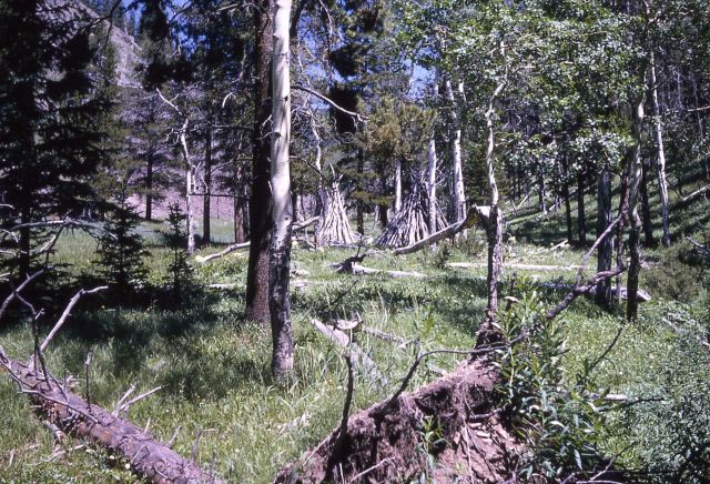 Wickiup at Wigwam Creek, now called Wickiup Creek - History - Indians Picture
