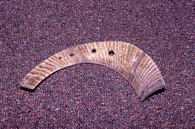Holes in horn to straighten shaft of arrow Picture
