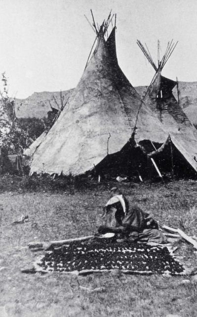 Nez Perce woman working on a skin with teepee in background - History - Indians Picture