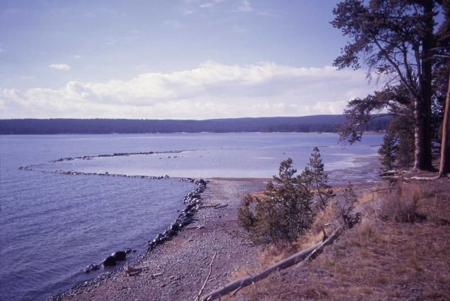 Indian fish trap on shore of Yellowstone Lake - History - Indians Picture