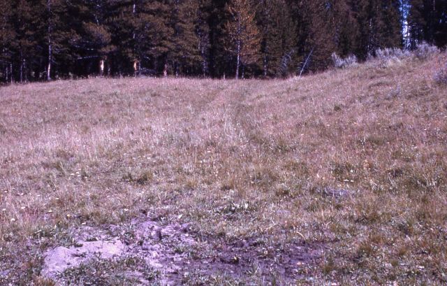 Bannock trail Picture