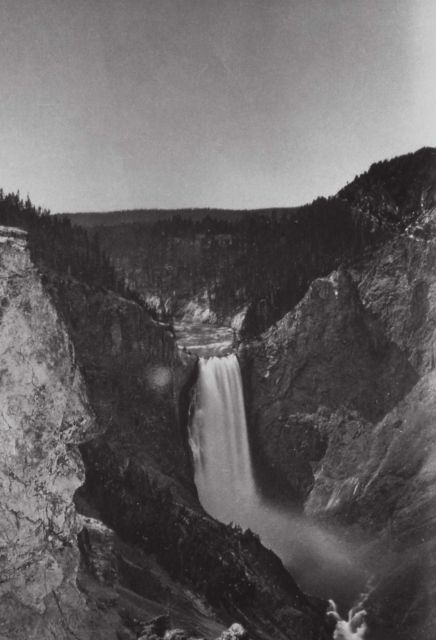 Lower Falls of the Yellowstone Picture