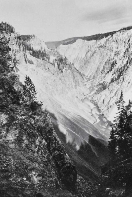 Grand Canyon of the Yellowstone from brink of Lower Falls Picture