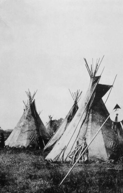 Nez Perce Encampment on Yellowstone River Picture