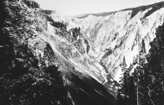 Grand Canyon of the Yellowstone Picture