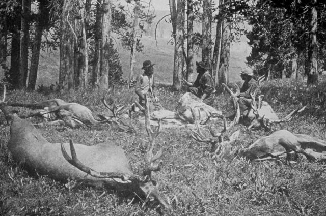 Hunting party with Hayden Survey Picture
