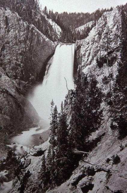 Lower Falls of the Yellowstone Picture