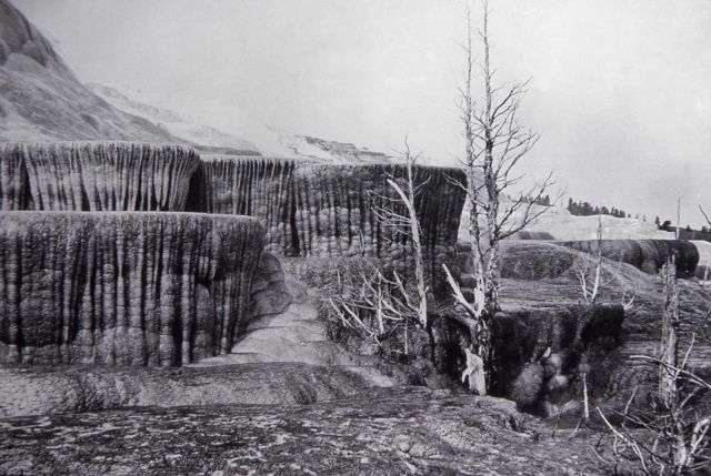 Jupiter Terrace at Mammoth Hot Springs Picture