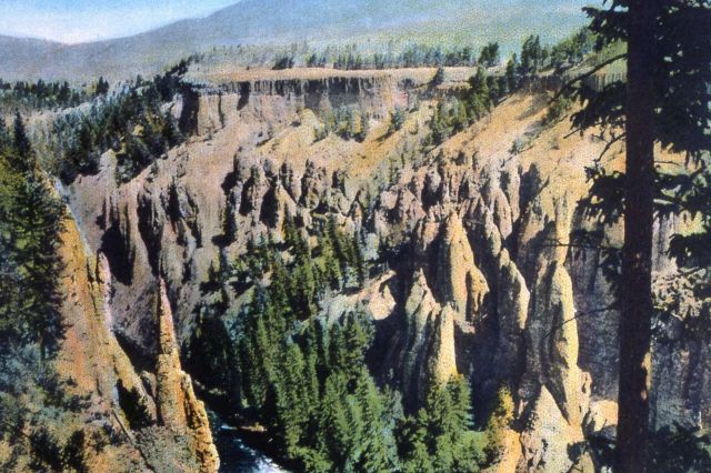 Postcard of 
