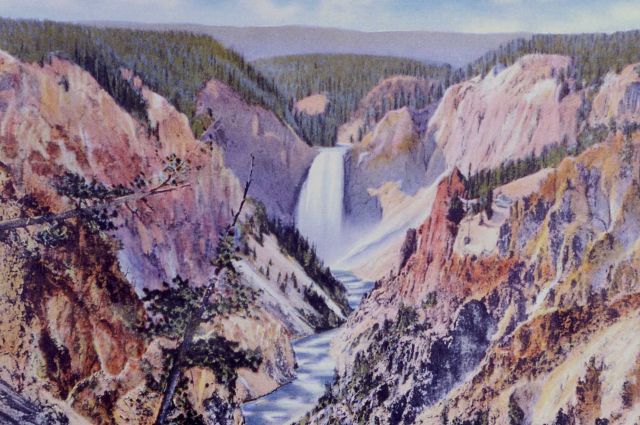 Postcard of Yellowstone Canyon as seen from Artist Point Picture