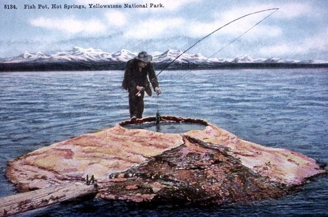 Postcard of 
