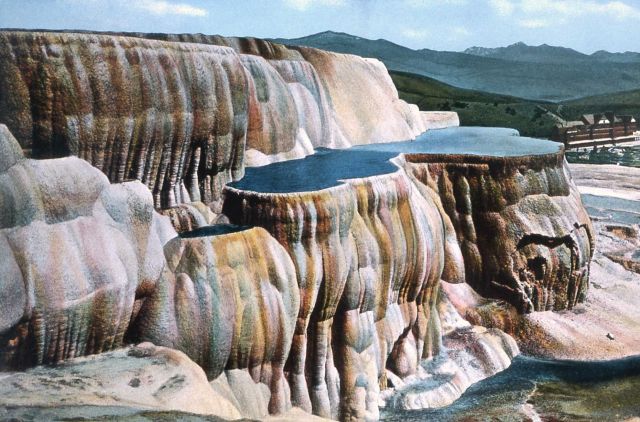 Postcard of Mammoth Hot Springs Picture