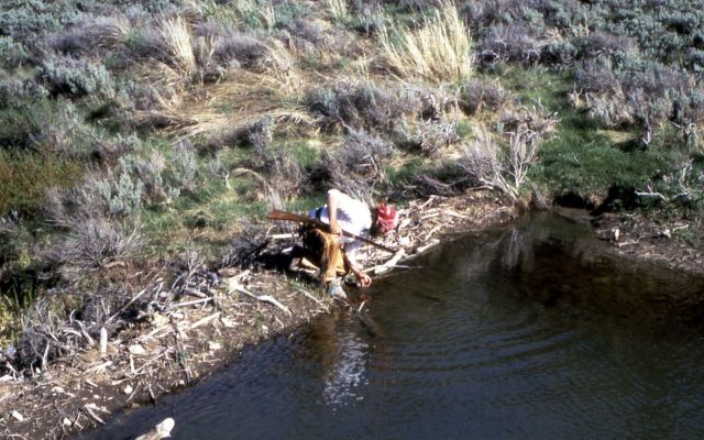 Mountain man checking for trapping site, north of Evanston, Wyoming in Utah Picture