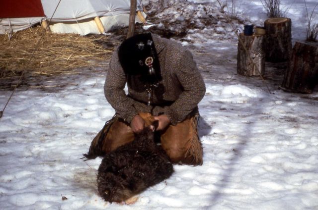 Mountain man (Andrew Langford) skinning beaver at Bear River, Wyoming Picture