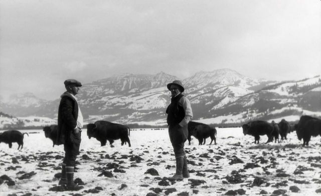 Lamar Bison Ranch Picture