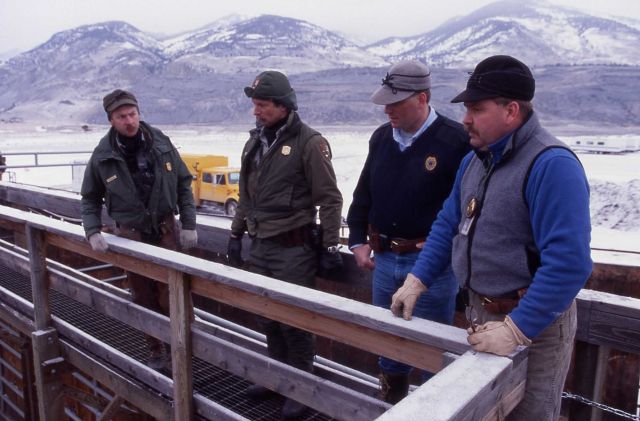 At Stephens Creek bison pen - Brian Helm, Dave Elwood & Mt Dept of Livestock personnel Picture