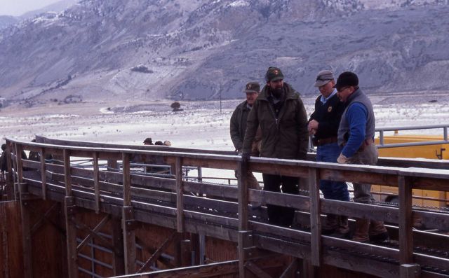 At Stephens Creek bison pen - Al Bowers, Rick Wallen & Mt Dept of Livestock personnel Picture
