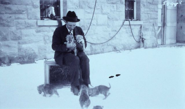 Chief Ranger Sam Woodring holding two of ten captured wolf pups sitting in front of the blacksmith shop Picture