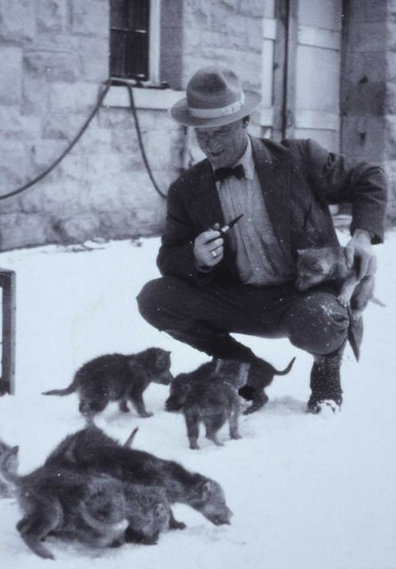 Close up of unidentified man with wolf pups in front of the blacksmith shop, pups were captured in April 1922 Picture