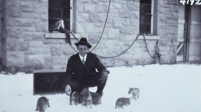 Chief Ranger Sam Woodring with six of the ten wolf pups described in the 1922 Superintendent Report Picture