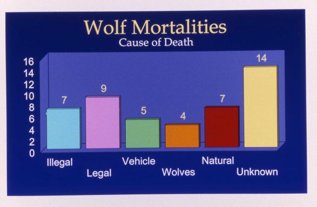 Map of wolf mortalities - causes Picture