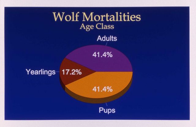 Map of wolf mortalities - age class Picture