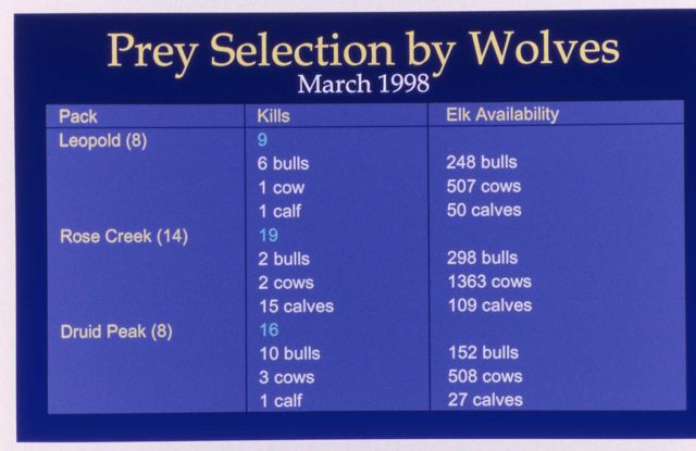 Map of wolf prey selection, March 1998 Picture