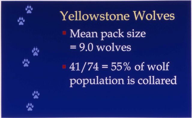 Map of wolf pack size/collars Picture