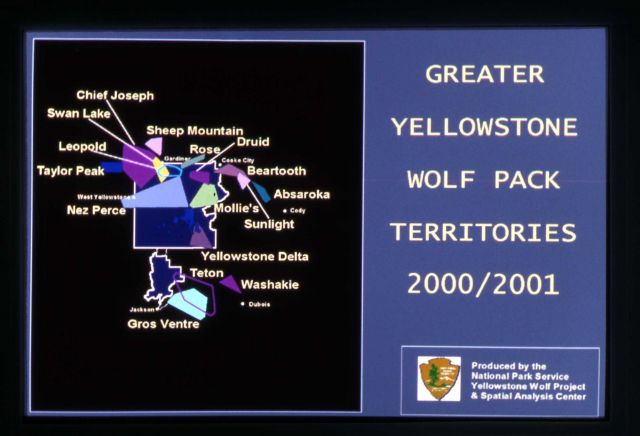 2000 - 2001 Greater Yellowstone wolf pack territories Picture