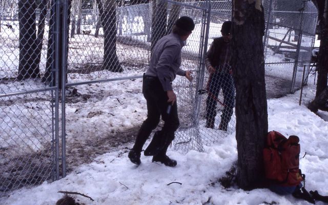 Cutting fence at Crystal Bench wolf pen Picture