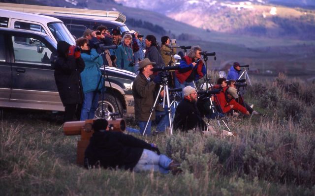 People watching wolves in Lamar Valley Picture