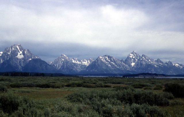 Grand Tetons Picture