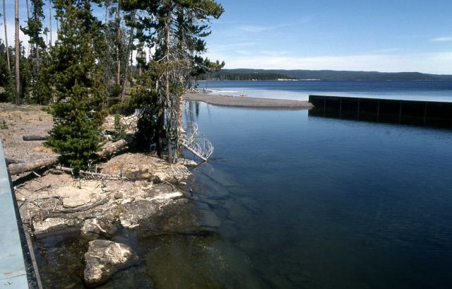 Grant Village marina Picture