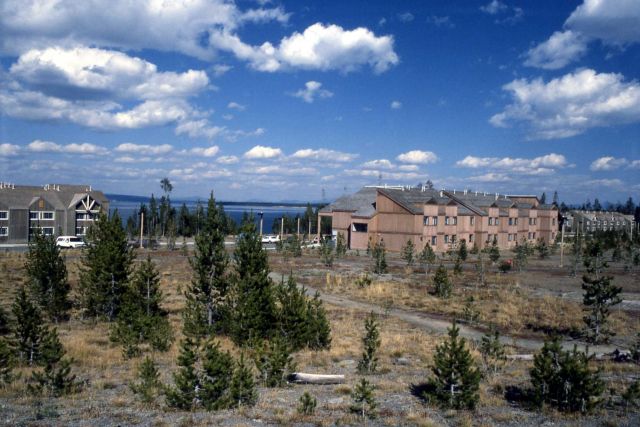 Lodging units at Grant Village Picture