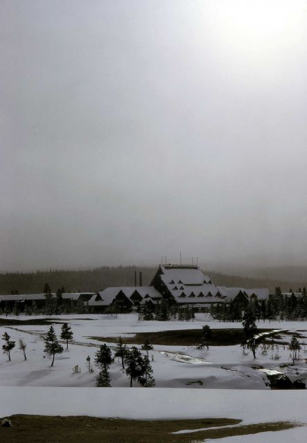 Old Faithful area in the winter Picture
