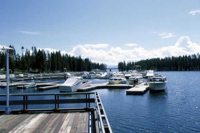 Bridge Bay marina Picture