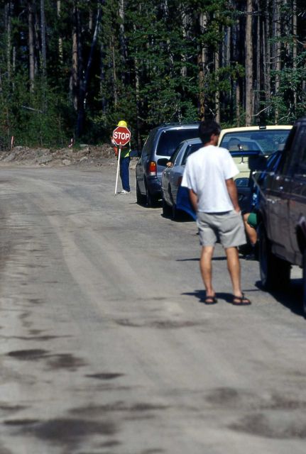 Road construction between Bridge Bay & West Thumb Picture