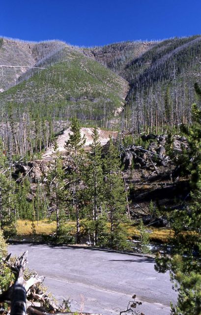 Location of new Gibbon River bridge Picture